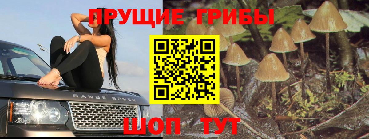 Псилоцибиновые грибы мухоморы  Вход с VPN  Вичуга 
